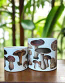 Molly Mushroom Pots