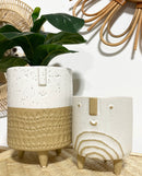 Larry Plant Pot