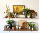 Lincoln Pot Collection
