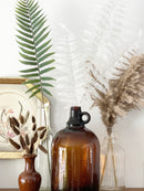 Fern Leaf Stems