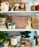 Oslo Decor Pots