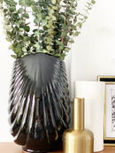 Eucalyptus Bunch