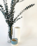 Eucalyptus Bunch