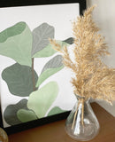 Figleaf Art Print