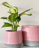 Lindy Pots