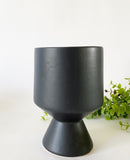 David Plant Pots