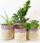 Plant Baskets -Pink
