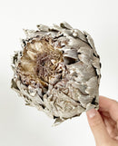 Dried Artichokes - Grey