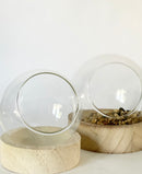 Timmy Table Top Terrarium