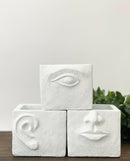 Sensory Plant Pots