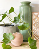 Chevron Plant Pots
