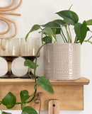 Lewis Plant Pots