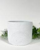 Anar Plant Pots