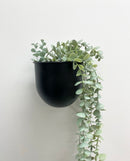 Virginia Wall Planters -Black