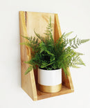 Petry Wall Shelf