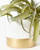 Libson Plant Pot