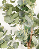 Potted  5' Eucalyptus Tree