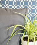 Canvas Pillow