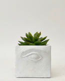 Sensory Plant Pots