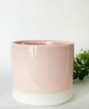 Cosmo Plant Pots