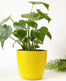 Textured Pots