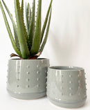 Puff Plant Pots