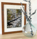 Waterways Artwork