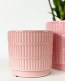 Dolo Plant Pots