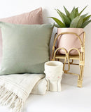 Velvet Cushion