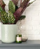 Bubble Glass Vase