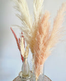 Natural Pink Pampas Grasses