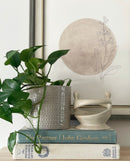Lewis Plant Pots