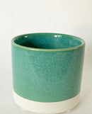 Cosmo Plant Pots