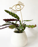 Eden Plant Sticks