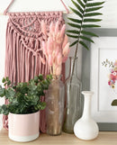 Cosmo Plant Pots