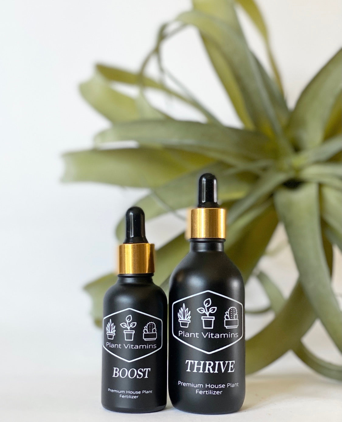 house plant vitamins Plant Vitamins