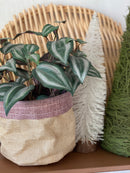 Plant Baskets -Pink
