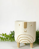 Larry Plant Pot