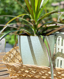 Textured Pots