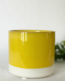 Cosmo Plant Pots