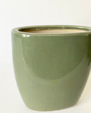 Denni Plant Pot