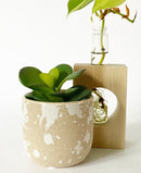 Cloudy Plant Pot