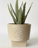 Hudson Plant Pots