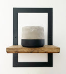 Toonie Plant Pot
