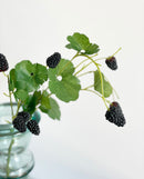 Summer Berry Picks