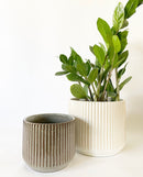 Walter Plant Pot