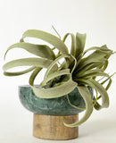 Savon Marble Dish