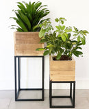 Lined Boxed Planters