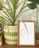 Juno Plant Pots