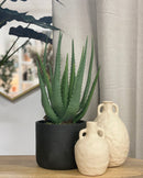 Anar Plant Pots